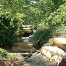 cox arboretum in dayton