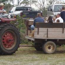 hayride