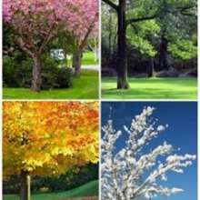 Seasons In Dayton