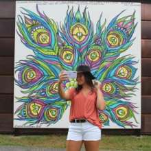 Laura Erickson art