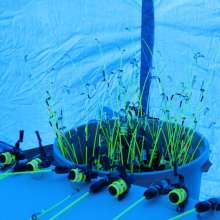 fishing poles