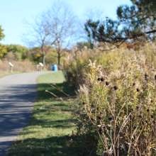 Elmhurst Park District