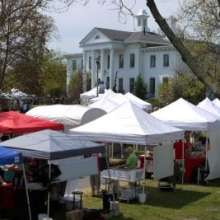 Art In the Park