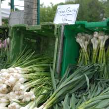 Elmhurst Farmer's Market