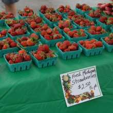 Elmhurst Farmer's Market