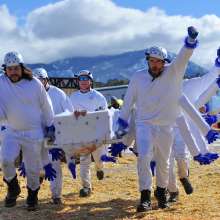 Coffin Races 24