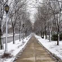 Headwaters Park in Winter