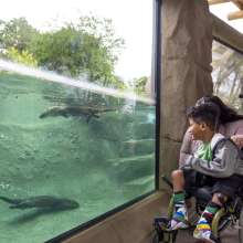 The Fort Wayne Children's Zoo is an Accessible Attraction