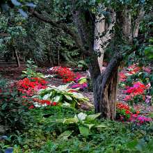 Foster Park Gardens