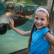 Girl with Sea Lion