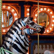Zebra at the Fort Wayne Children's Zoo Carousel