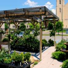 Botanical Conservatory Terrace