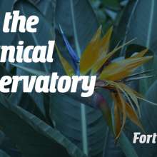 Tour Fort Wayne, Indiana's Botanical Conservatory