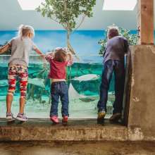 Discover the Fort Wayne Children's Zoo | Visit Fort Wayne, Indiana