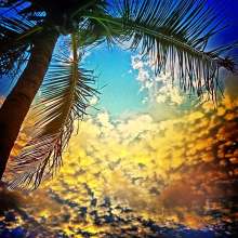 Instagram photo liked on 07/19/13