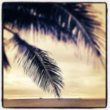 Instagram photo liked on 12/16/13