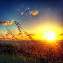 Instagram photo liked on 06/18/15