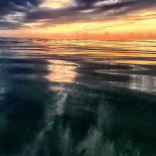 Instagram photo liked on 08/08/15