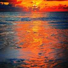 Instagram photo liked on 02/12/14