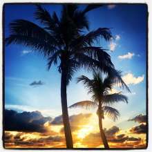 Instagram photo liked on 12/04/13