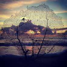 Instagram photo liked on 12/12/13