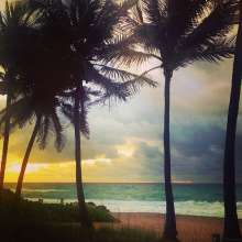Instagram photo liked on 04/13/14