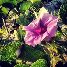 Instagram photo liked on 04/26/14