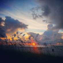 Instagram photo liked on 05/29/14