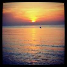 Instagram photo liked on 07/25/13