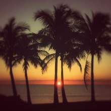 Instagram photo liked on 12/17/14