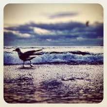 Instagram photo liked on 12/17/13