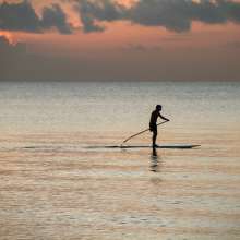 Paddleboarding at sunrise