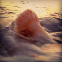 Instagram photo liked on 09/28/13