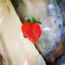 Instagram photo liked on 04/05/14