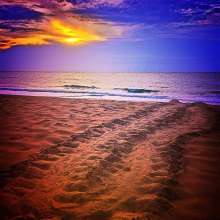 Instagram photo liked on 07/14/13