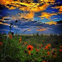 Instagram photo liked on 09/15/13