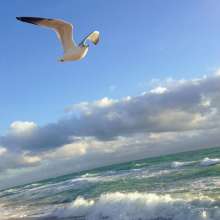 Twitter photo posted on 01/11/13