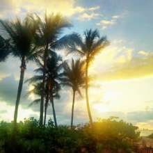Twitter photo posted on 01/15/13