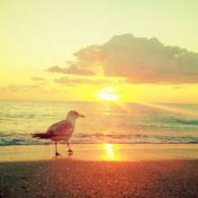 Twitter photo posted on 02/06/13