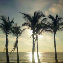 Twitter photo posted on 02/08/13