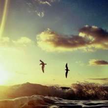 Twitter photo posted on 02/09/13