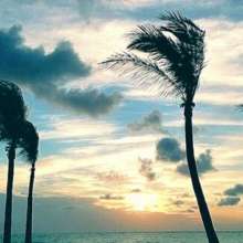 Twitter photo posted on 04/30/13