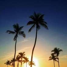 Twitter photo posted on 06/15/13