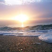 Fort Lauderdale beach
