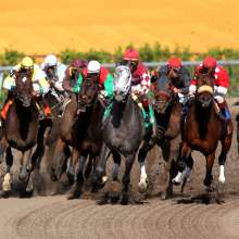 Gulfstream Park in Hallandale Beach