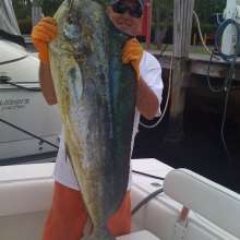 Catching the big one