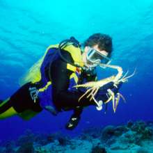 Scuba Diving