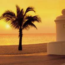 Beach Sunrise