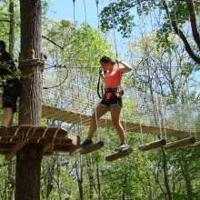 treetop