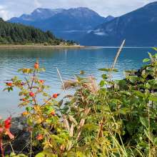 Haines in late summer/early fall